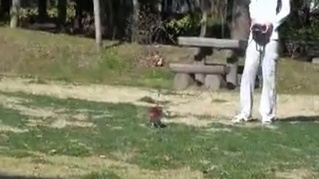 36 3.5CH Electric RC Helicopter Big Metal Body Alloy Sky King Huge Gyro Large Radio Control HCW850