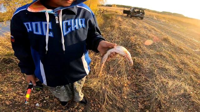 Охота на утку с подхода, или как мы с Димоном на уток ходили. Отдохнули с другом на охоте. смотреть онлайн