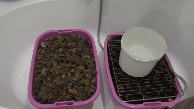 СОСНОВАЯ КОРА ДЛЯ ОРХИДЕЙ / ЧЕМ ОБРАБАТЫВАТЬ СОСНОВУЮ КОРУ смотреть онлайн