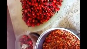 Шиповник. Сушим и завариваем. Эффективно!!!