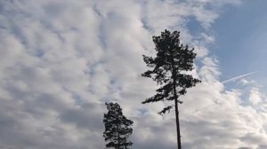 ВОЗДЕРЖАНИЕ ДЛЯ МУЖЧИН НА 100% ПОМОЖЕТ ИЗМЕНИТЬ ЖИЗНЬ В ЛУЧШУЮ СТОРОНУ (НЕ ВЕРЬТЕ СКЕПТИКАМ)