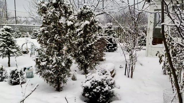 Зимняя сказка, последний день января 2022 смотреть онлайн