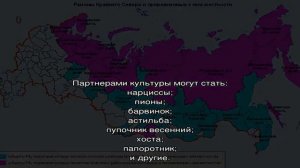 Посадка и уход в открытом грунте за раннецветущей многолетней примулой