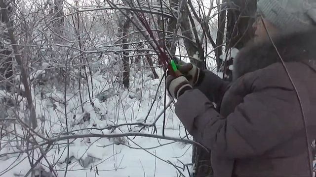 Лозоплетение  Сбор краснотала  Часть 1
