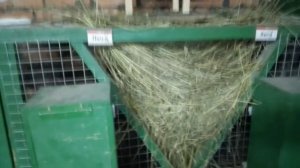 Как сделать клетки для кроликов своими руками первый вариант клеток