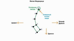 15 Малая Медведица