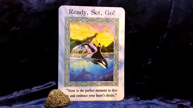 Daily Tarot card reading 22nd January 2019 Ready set Go Oracle смотреть онлайн