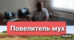 ПОВЕЛИТЕЛЬ МУХ