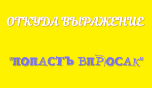 ПОПАСТЬ ВПРОСАК