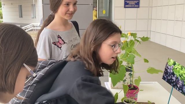 Благотворительная ярмарка рассады смотреть онлайн