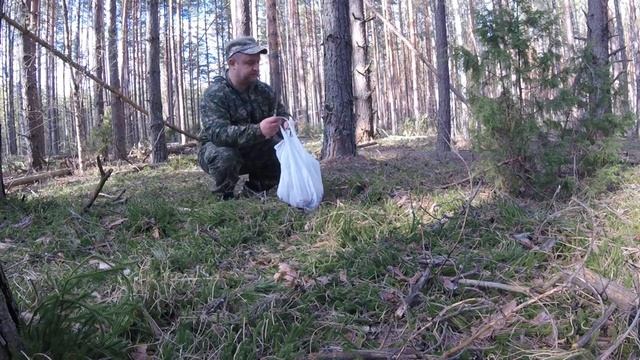 Поход за грибами!!! Зашел в лес и началось!!! Сбор строчков - "тихая охота" или "русская рулетка"!! смотреть онлайн