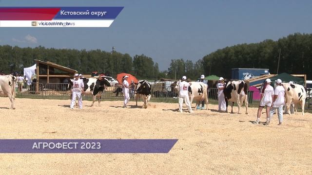 Традиционный праздник сельхозпроизводителей «Агрофест 2023» стартовал в Кстовском округе