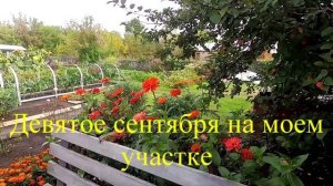 Как я учился садово-огородным делам