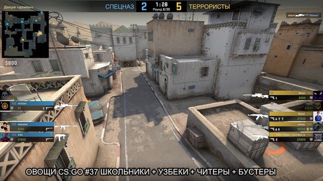 Распад "команды" (zalupa org#2) смотреть онлайн