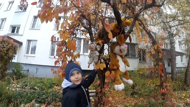 На пруду осень 2018 с Вацловом.mp4 смотреть онлайн