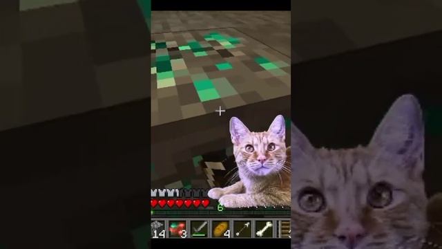 Симбочка нашел свои первые алмазы #shorts #minecraft смотреть онлайн