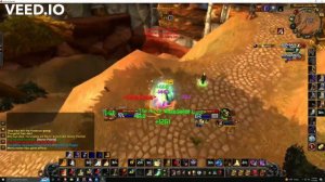 Warsong Gulch Ret Paladin vs Elemental Shaman WOTLK phase 1 WoW Classic