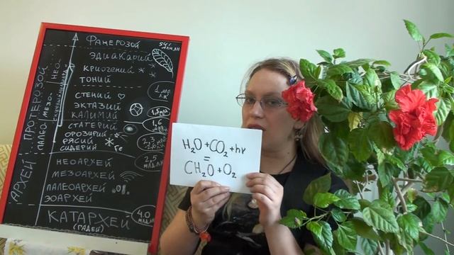 Мария Колесник: Чем заняться в самоизоляции подо льдом? смотреть онлайн