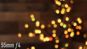 Canon EF-S 55-250mm F4-5.6 IS STM Lens Review