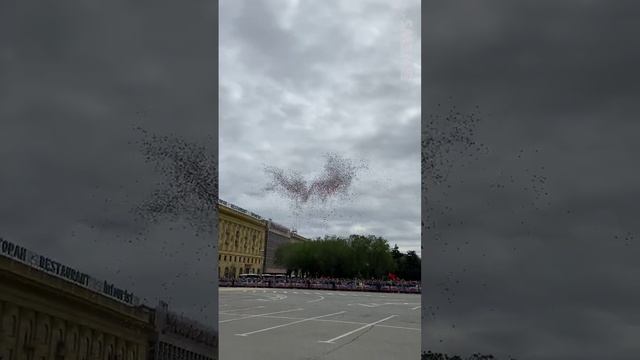В Волгограде самолеты пролетели во время парада Победы на предельно малой высоте