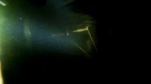 Подводная охота на Валдайском озере! Валдай!