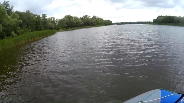 Поролоновые рыбки. Первый опыт смотреть онлайн