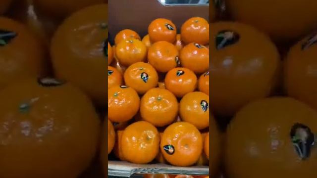 ФРУКТЫ ОТ МАРЧЕНКО МАНГО 🥭 АПЕЛЬСИН 🍊 МАНДАРИН 🍊 КИВИ 🥝 ИРАН СИРИЯ СЕГОДНЯ ФУД СИТИ ФУД ЛАЙН