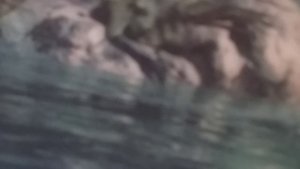 Динозавры и животные.