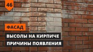 ВЫСОЛЫ НА КИРПИЧЕ: ПРИЧИНЫ ПОЯВЛЕНИЯ И МЕТОДЫ ПРОФИЛАКТИКИ