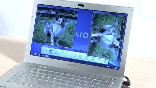 Sony Vaio SB1S1E/W смотреть онлайн