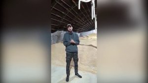 Озонирование зерна\Озонирование в сельском Хозяйстве (Озонация)