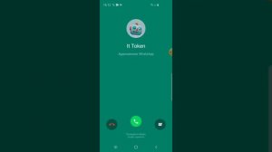 Incoming calls Viber WhatsApp Telegram Signal Screen Video Samsung S10