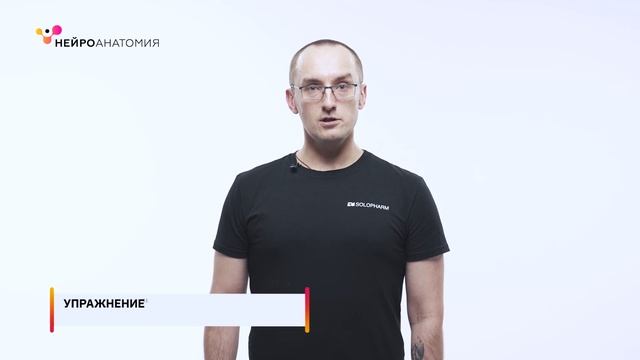 Упражнения для тренировки памяти и улучшения внимания