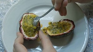Добываю семена Пассифлоры ! ?