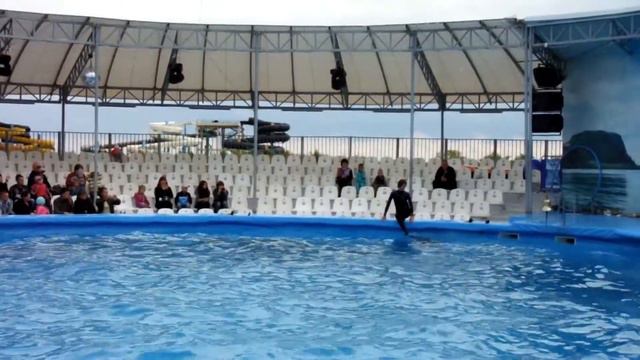 Дельфинарий Немо Бердянск сентябрь 2013 смотреть онлайн