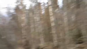 На буханке на рыбалку, немного жарева)