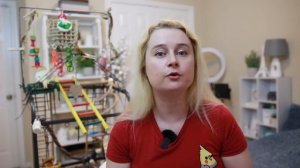 ЧТО ДЕЛАТЬ ЕСЛИ ПОПУГАЙ ИСПАЧКАЛСЯ