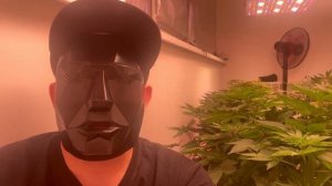 Популярные вопросы о системе Autopot (Автопот)