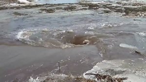 Огромная воронка на реке Чулым. Способна засосать человека!Полости в Земле? Сливается по трубе?В Ад?