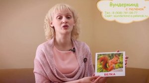 Как заниматься по карточкам Домана: Ответы на Ваши вопросы.  ТМ Вундеркинд с пеленок