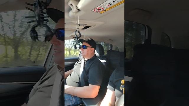 Поездка на концерт.