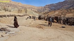 "Circle and solidarity, Saleh facing problems and doubting Masoumeh"