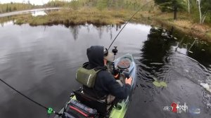 SIMPLE Curly Tail Grub SMASHES in Shallow Water Bass Fishing