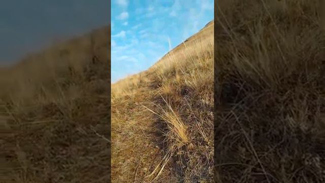 Карабаш.Татарстан.Кама смотреть онлайн