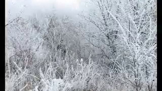 КАК ИЗБРАЛИ ИМАМОМ ШАМИЛЯ смотреть онлайн