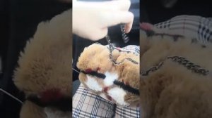 Как сшить муфту или сумочку для телефона и рук!