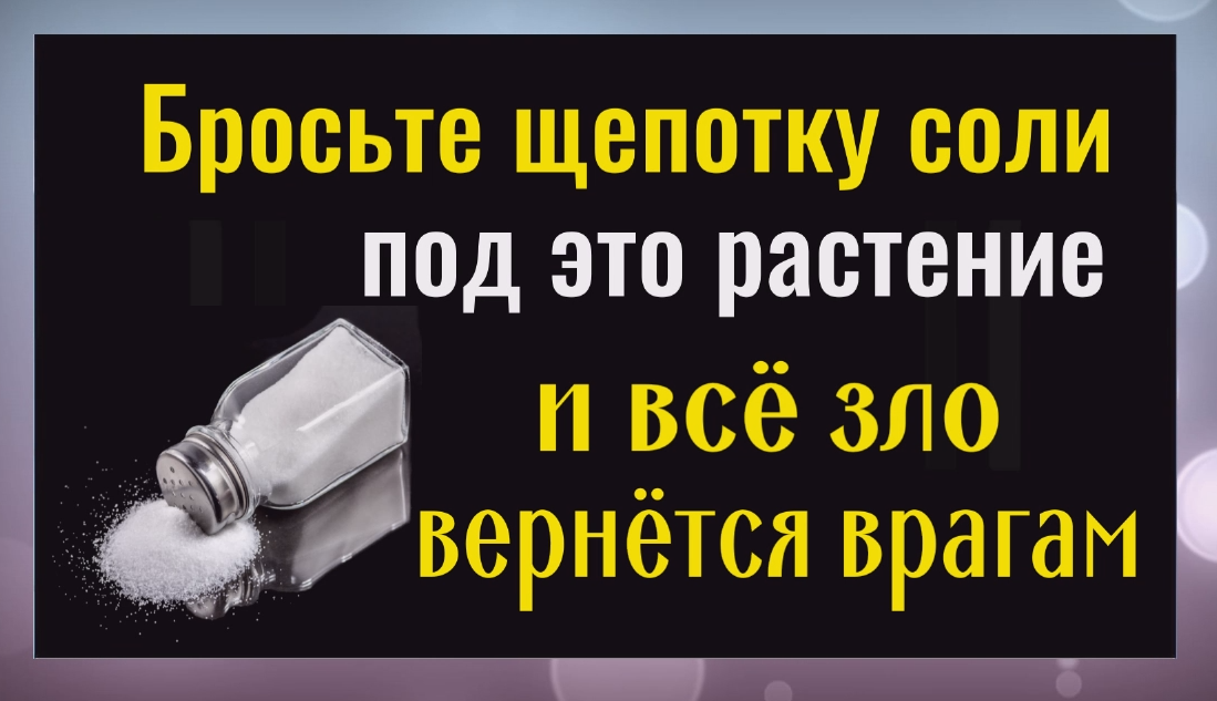 Бросьте щепотку соли под это растение и всё зло и порча вернется врагам
