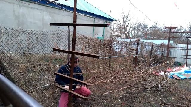 Виноград 2019 Начало сезона Обрезаю #виноград (10-03-2019) смотреть онлайн