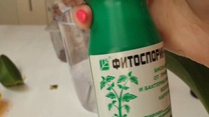 Проверьте ПЛЕСЕНЬ орхидеи ГРИБОК орхидеи // ФИТОСПОРИН для орхидей и ЛЕЧЕНИЕ КОРНЕЙ орхидеи