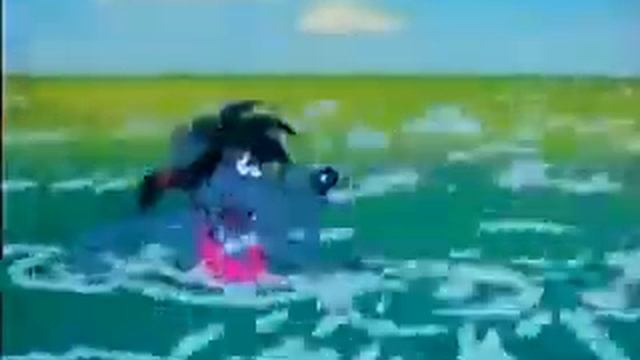 Wilk i zając (2) смотреть онлайн